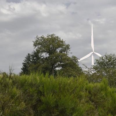 Le Bec depuis la terrasse maison, éolienne E5